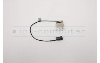 Lenovo 5C10S30021 Displaykabel CABLE Q 82AA FHD