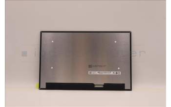 Lenovo 5D11H84782 DISPLAY AUO 13.3 WQXGA AG