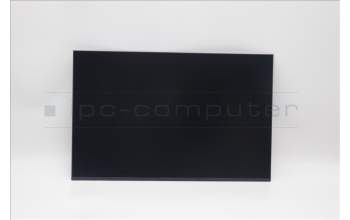 Lenovo 5D11N52234 DISPLAY FRU BOE NE160QDMNZB 16WQX Color