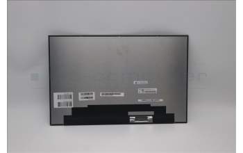 Lenovo 5D11N52234 DISPLAY FRU BOE NE160QDMNZB 16WQX Color