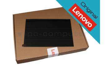 Lenovo SD11A22494 original IPS Display WUXGA (1920x1200) matt 60Hz