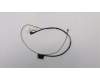 Lenovo 5C10J36139 Displaykabel Cable C E31-70 EDP