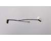 Lenovo 5C10Q56309 Displaykabel Cable W 81AV